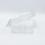 Close-up of a clear plastic storage container with a snap-on lid.