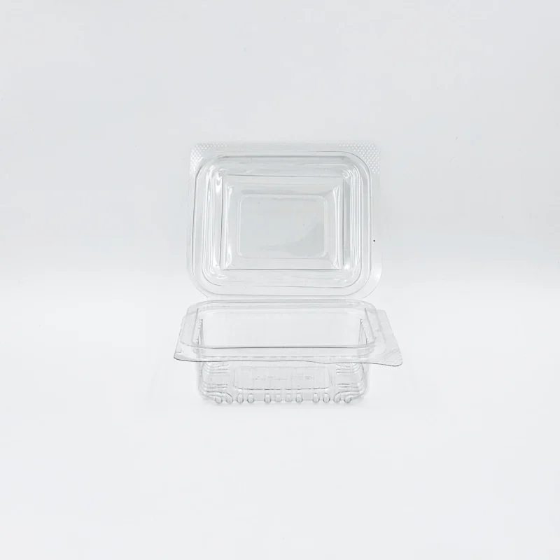 Clear, empty blister-pack packaging with multiple cavities on a white surface