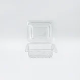 Clear, empty blister-pack packaging with multiple cavities on a white surface