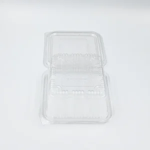 500ml 2 - weorexpacking.in Clear plastic clamshell container lid photographed on a white surface.