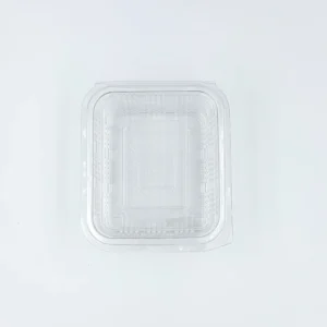 Clear transparent plastic lid with raised ridges and a textured inner surface, shown from above.