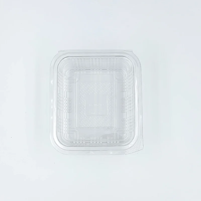 Clear transparent plastic lid with raised ridges and a textured inner surface, shown from above.