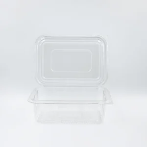 Clear rectangular plastic food storage container with lid on a white surface, seen from above.