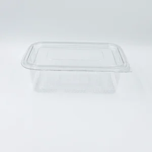 Transparent rectangular plastic food storage container with a matching lid, viewed from above-left on a white surface.