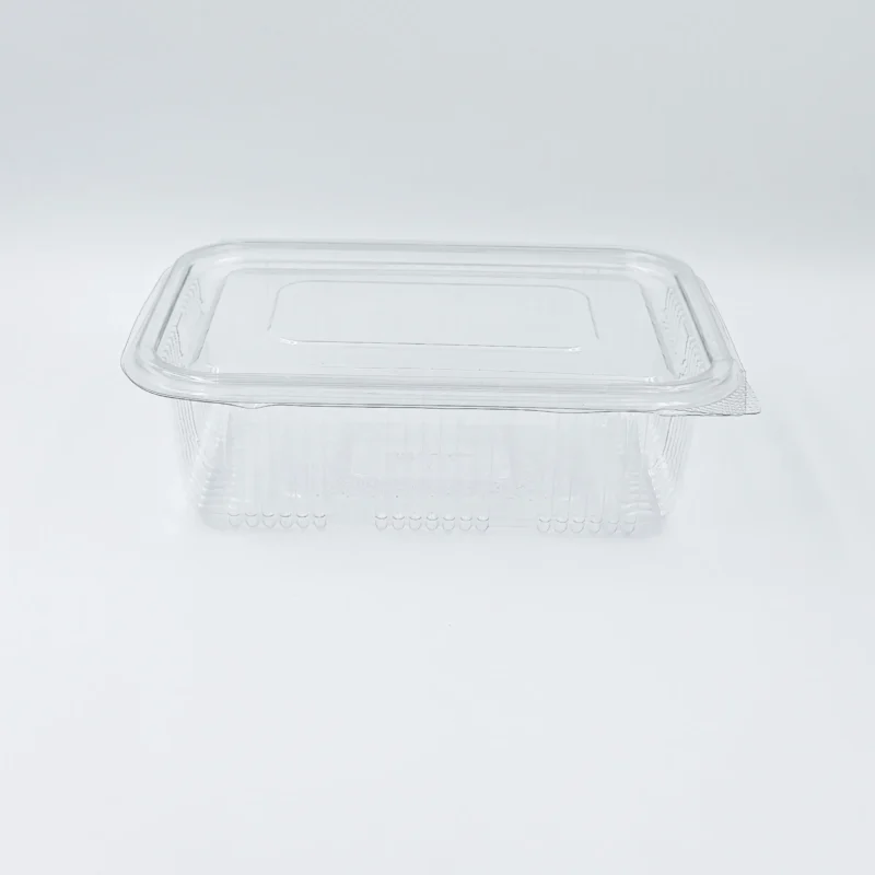 600 ml 1 Transparent rectangular plastic food storage container with a matching lid, viewed from above-left on a white surface.