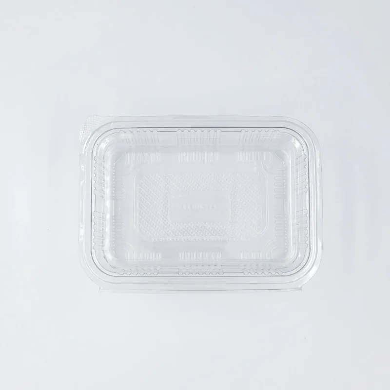 600ml 3 Clear plastic clamshell container lid viewed from above on a light background.