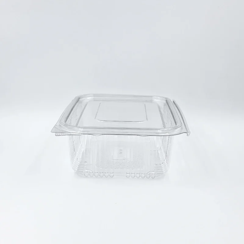 600ml 4 Clear plastic storage container with a snap-on lid on a white surface, viewed from above to show its top and edges.