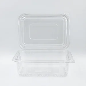 Clear plastic takeout container with a snap-on lid on a white surface.