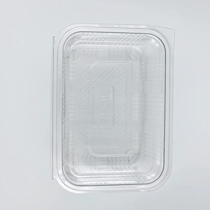 750ml 3 Transparent plastic blister packaging with a rectangular curved tray, empty, on a light background, viewed from above.