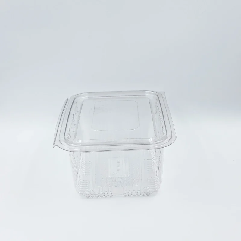 750ml 4 Clear plastic takeout container lid on a light background, viewed from above.