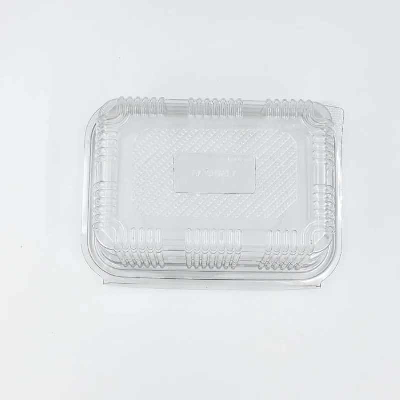750ml 7 Clear plastic clamshell container lid seen from above with ribbed edges and click-fastening corners