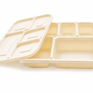 5 Compartment Plate with Lid – Corn Starch Meal Tray - weorexpacking.in 5 compartment plate – 5 Compartment Plate with Lid – Corn Starch Meal Tray