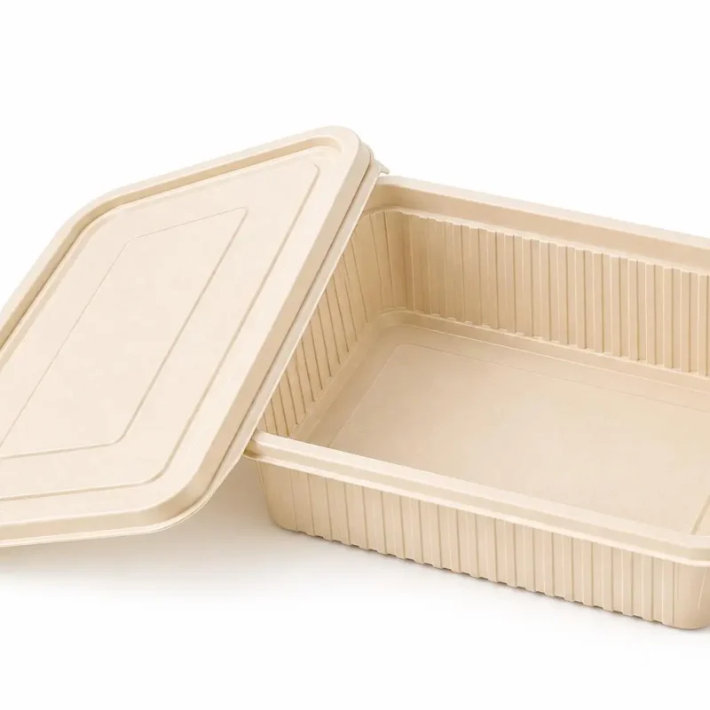 500 ml Lunch Box with Lid – Corn Starch Rectangle Box 500 ml lunch box – 500 ml Lunch Box with Lid – Corn Starch Rectangle Box