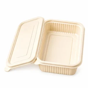 rectangle lunch box – 650 ml Rectangle Lunch Box with Lid – Corn Starch